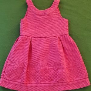 Janie and Jack 2T Toddle dress